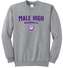 Load image into Gallery viewer, Male Baseball Crewneck Sweatshirt - SELECT A LOGO
