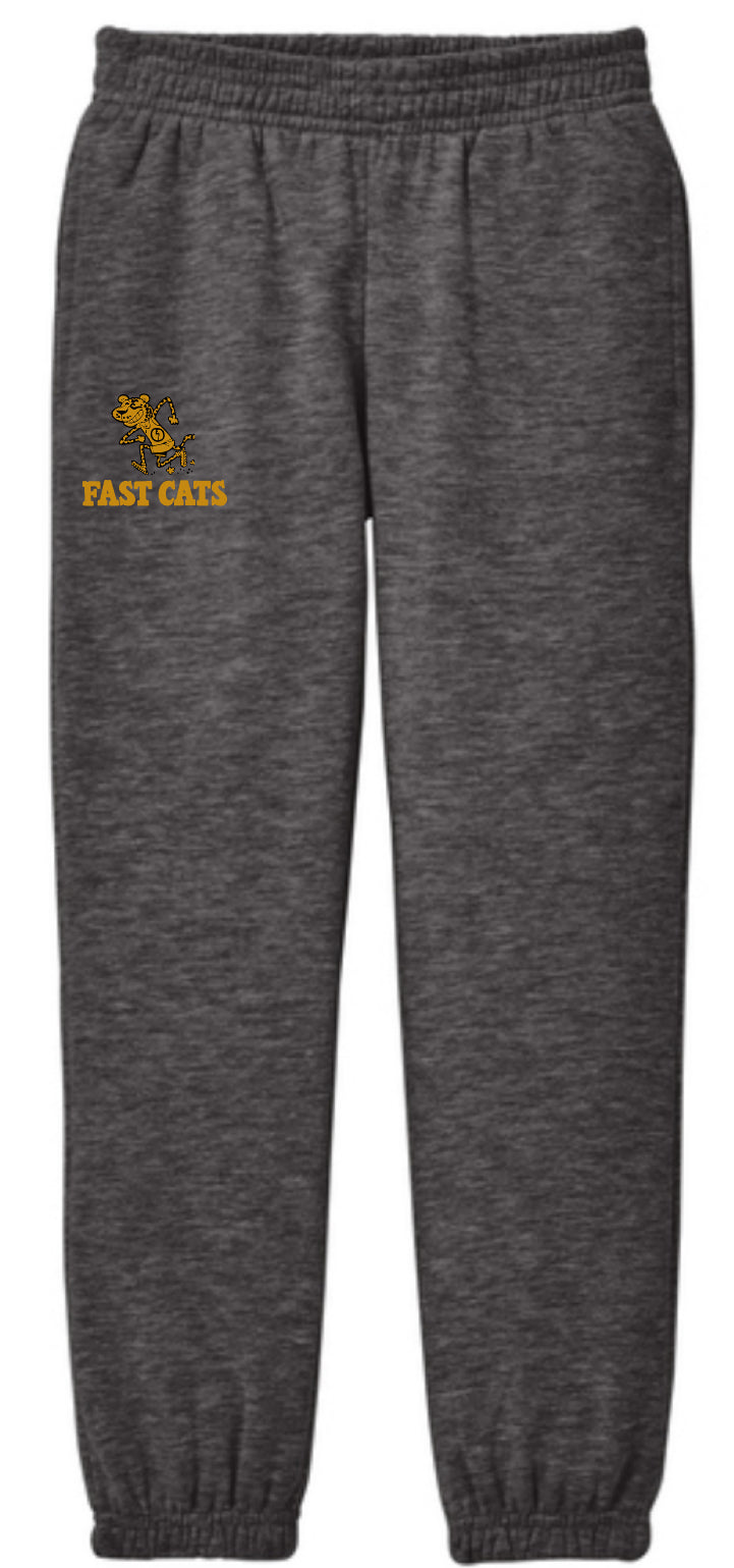 Fast Cats Youth Sweatpants